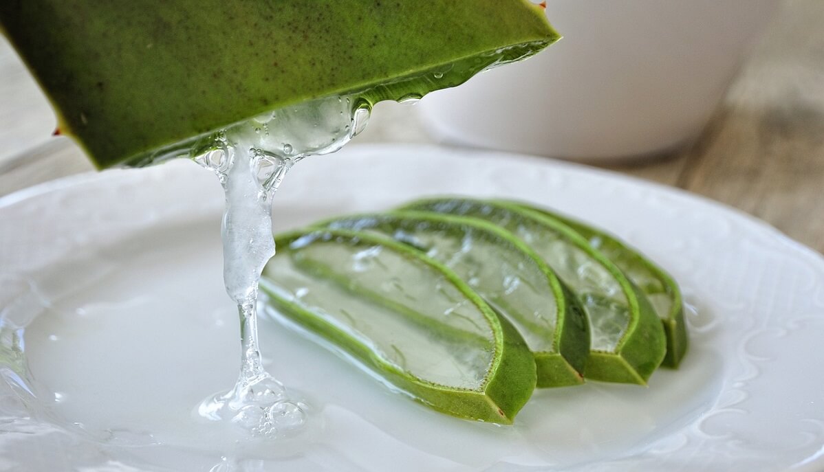 Aloe Vera bei Mückenstich