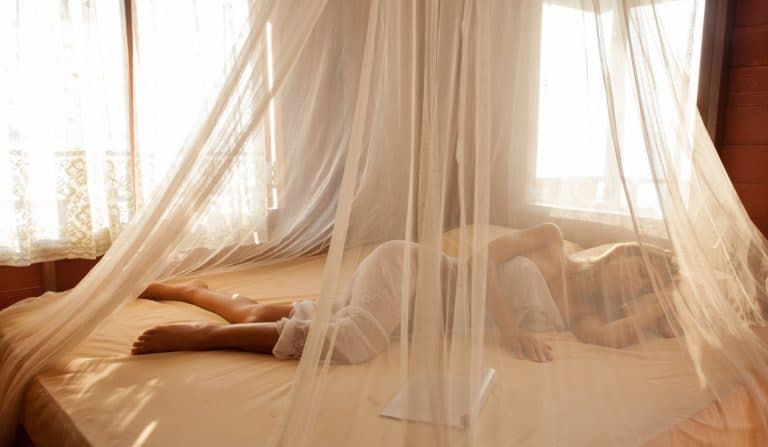 Die besten Hausmittel gegen Mücken im Zimmer | Moskitofrei