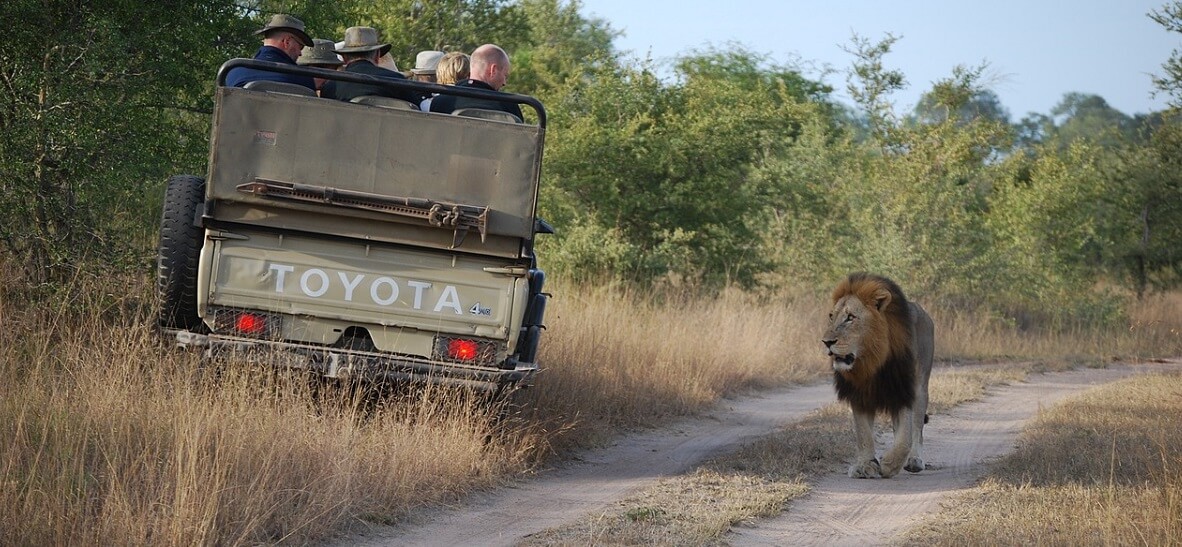 Safari Kopfbedeckung