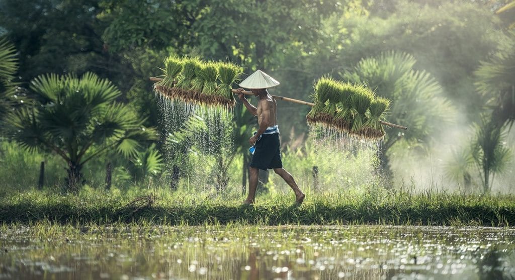 Malaria in Thailand